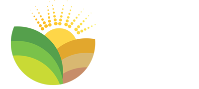 Bible Land Tours